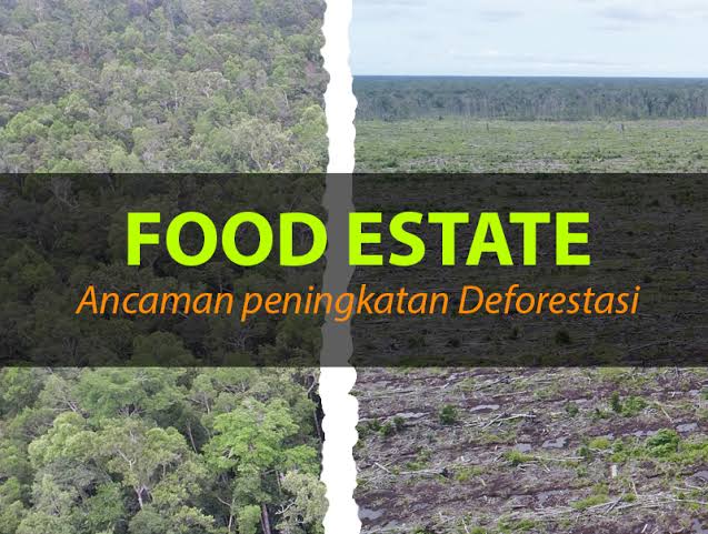 Food Estate dan ancaman deforestasi. Ilustrasi dari dpik.or.id