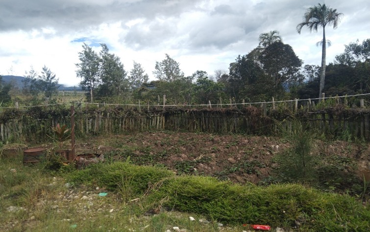 Salah satu kebun masyarakat Mee di Deiyai yang saya sempat saya kunjungi. Foto: I Ngurah Suryawan